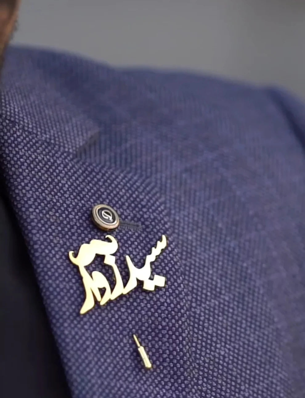 Coat pin